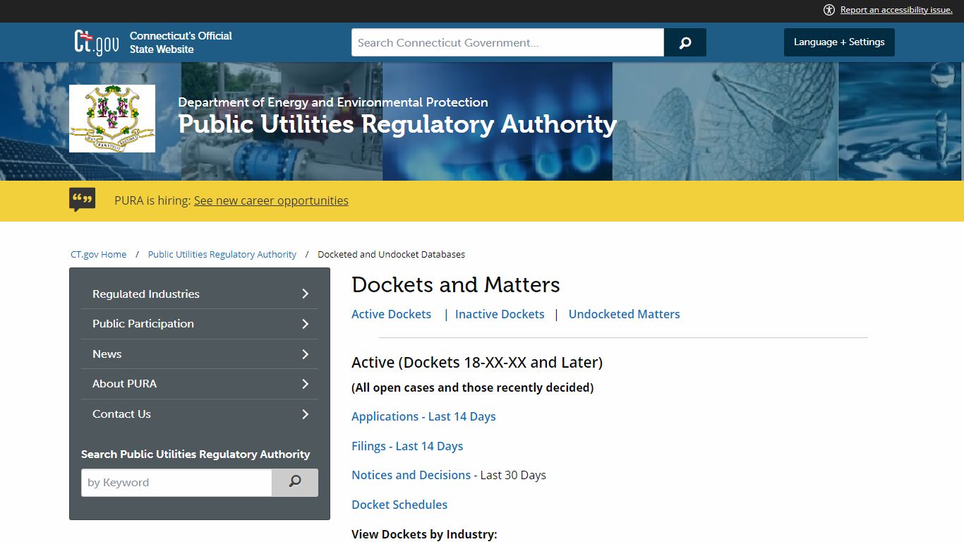 Docketed and Undocket Databases - ct